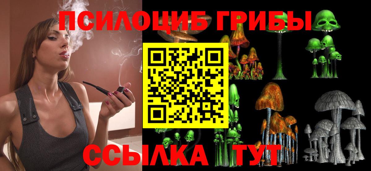 Галлюциногенные грибы MAGIC MUSHROOMS  Вход с VPN  Санкт-Петербург 