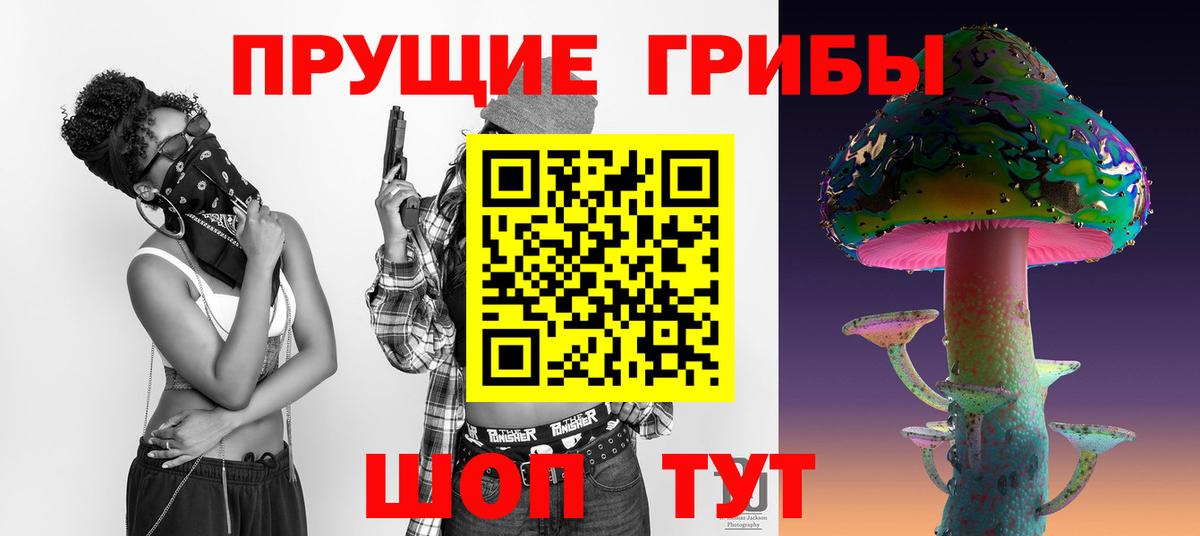 Галлюциногенные грибы Magic Shrooms Санкт-Петербург
